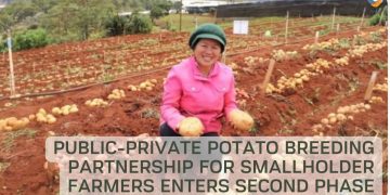 Public-private potato breeding partnership for smallholder farmers enters second phase