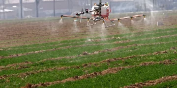 RBC named the professions of the future in the agricultural sector