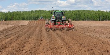 Bryansk region is a leader in potato production