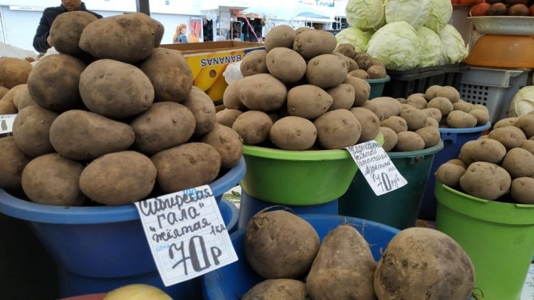 In the Rostov region announced the collapse of prices for potatoes since the end of June