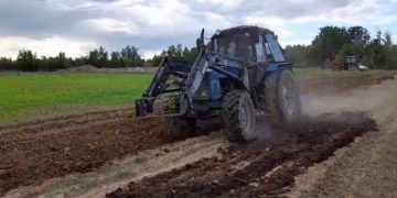 Agrarians of Muzhevsky in Yamal will plant 5 tons of seed potatoes