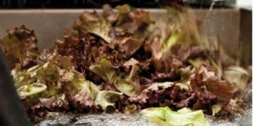 USDA value-added producer grants help seed new ventures