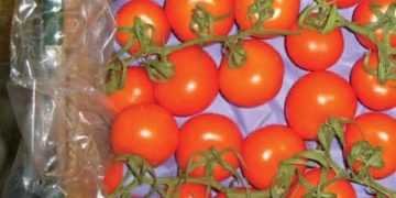 All About Atmosphere: Extending shelf life of fresh-cut produce