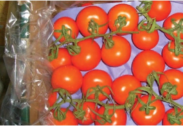 All About Atmosphere: Extending shelf life of fresh-cut produce 28 All About Atmosphere: Extending shelf life of fresh-cut produce