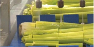 Liquid Blades: Waterjet cutting shows promise with some produce items