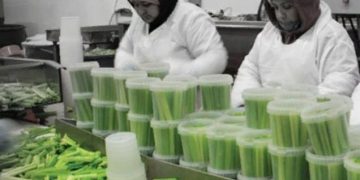 Allergen Alert: Proper labeling, rigorous manufacturing can help processors avoid problems