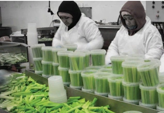 Allergen Alert: Proper labeling, rigorous manufacturing can help processors avoid problems 16 Allergen Alert: Proper labeling, rigorous manufacturing can help processors avoid problems