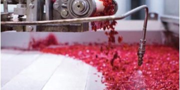 Just Remove Water: New ways to achieve an old objective drive success of dried produce