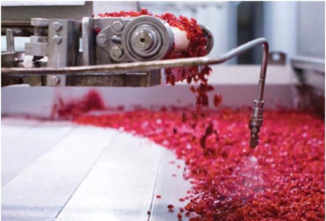 Just Remove Water: New ways to achieve an old objective drive success of dried produce 4 Just Remove Water: New ways to achieve an old objective drive success of dried produce
