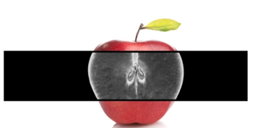 Optical, x-ray sorting technology detects unwanted materials