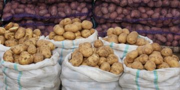 Potatoes fell in price in Astrakhan markets