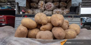 Why the price of potatoes has risen sharply in Armenia: ex-deputy minister explains