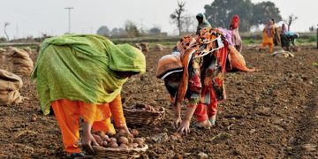 Pakistan launches agricultural modernization program