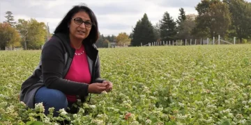 AAFC scientist honoured as one of 2022’s Influential Women in Canadian Agriculture