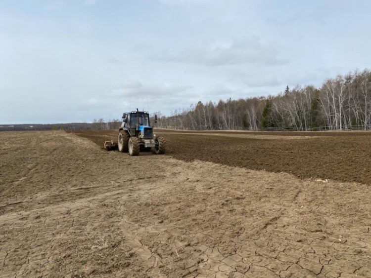 The plan for sowing grain and potatoes in Yakutia has been fully implemented