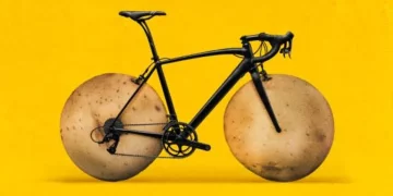 Potato power: New study finds potatoes as good as animal milk for building muscle