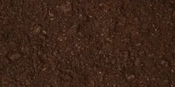 Lab investment to help with SFI qualification