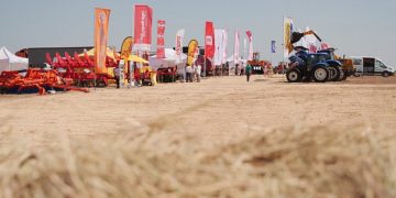 Regional “Field Day” will be held in the Ivanovo region