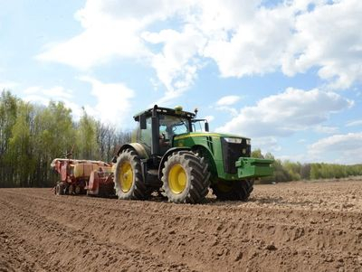 What have we sown, what shall we reap? Should we expect a shortage of products and a rise in prices in Kolomna