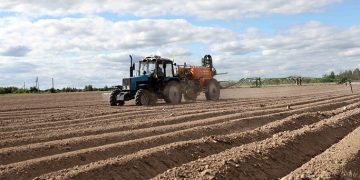 The sowing campaign has come to an end in the Tver region