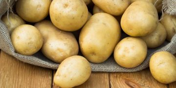 Stary Oskol farmer Daniil Storozhev distributes free potato seeds to fellow countrymen