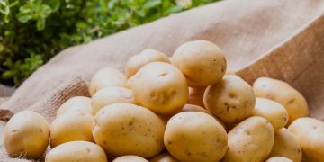 PROVIDE YOURSELF AND THE FARMS OF THE SFO WITH AN ELITE POTATO SEED FUND