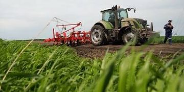 Sowing of agricultural crops completed in the Nizhny Novgorod region