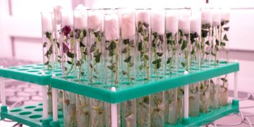 Expert: investments in biotechnology account for 5.6% of all investments in agriculture