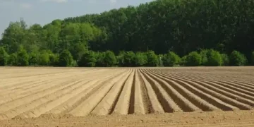 Solution put forward to maximise nutrient use