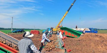 The Chinese Fresh, Refrigerated and Processed Spuds April 2022 Exports Assessment