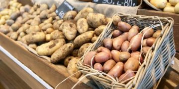 Russian Potato Acquisitions Led to Georgian Market High Prices