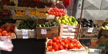 The expert told how to provide the Kirov region with its potatoes, beets and corn