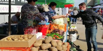 Amur potatoes overtook tubers from Egypt and Kazakhstan in price