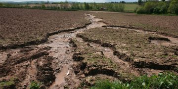 Georgia to toughen sanctions for environmental damage