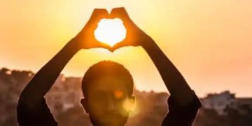 Support scheme leads to ‘abundant’ harvest