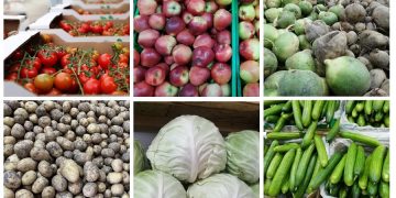 Kazakhstan refuses to build 15 agro-logistics centers