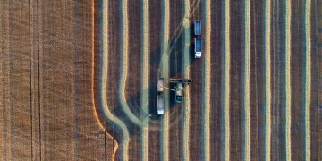 Businessmen from Egypt and Sudan want to invest in the agricultural sector of Moldova