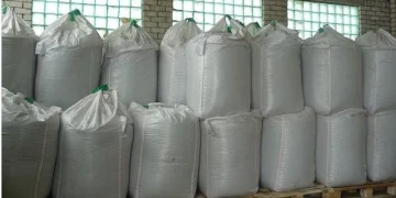 Lukashenko considers it unacceptable to fertilize the soil with money