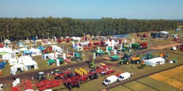 More than fifty varieties of branded crops were presented at the Day of the Bryansk Field-2022