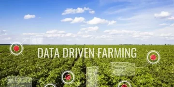 McCain to use digital technology to ‘transform agriculture’, acquires predictive crop intelligence technologies company