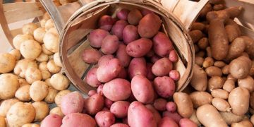 The World Potato Congress Inc. Welcomes New International Advisors