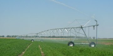 The task of farmers is to save the crop in the heat