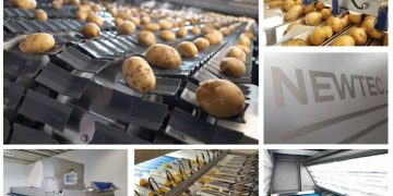 Newtec’s Optical Sorting Solution ideal for packers of table potatoes