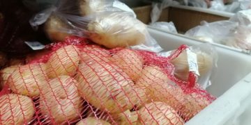 Potatoes for chips are grown in a Chinese village opposite the Amur region