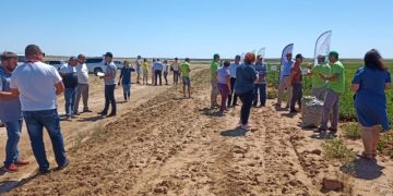 A seminar of potato growers was held in the Limansky district