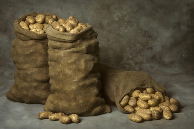 Hai suficientes existencias de patacas e cebolas no mercado nacional de Casaquistán 49 Hai suficientes existencias de patacas e cebolas no mercado nacional de Casaquistán