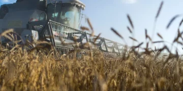 Uzbekistan proposes to hold an agrarian conference of the SCO countries