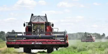 Belarusian combine operators during the harvest season earn on a par with IT specialists