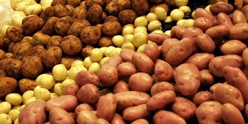 Turkmenistan plans to grow Russian potatoes