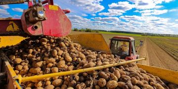 Lukashenko: it is very dangerous to further subsidize agriculture